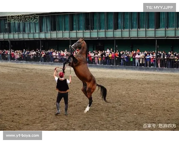 七个实用步骤教你轻松驾驭汗血宝马,掌握骑乘技巧与驯马秘诀 七个实用步骤教你轻松驾驭汗血宝马,掌握骑乘技巧与驯马秘诀